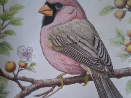 whatsapp bild 2025-11-02 um 11.15.41_4168a616